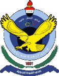 القوة الجوية