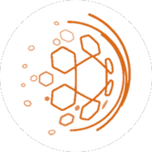 دوري أبطال الخليج