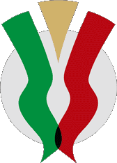 كأس إيطاليا