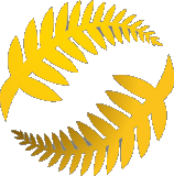 كابيتال فوتبول