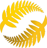 كابيتال فوتبول