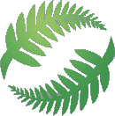 سنترال فوتبول