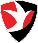 تشيلتنهام تاون